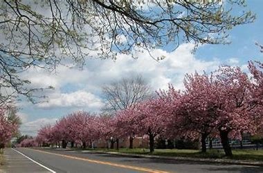 Security Contractor Serving Cherry Hill NJ